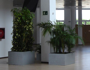 Jardineras